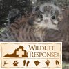 wildlife & Tattoo 076